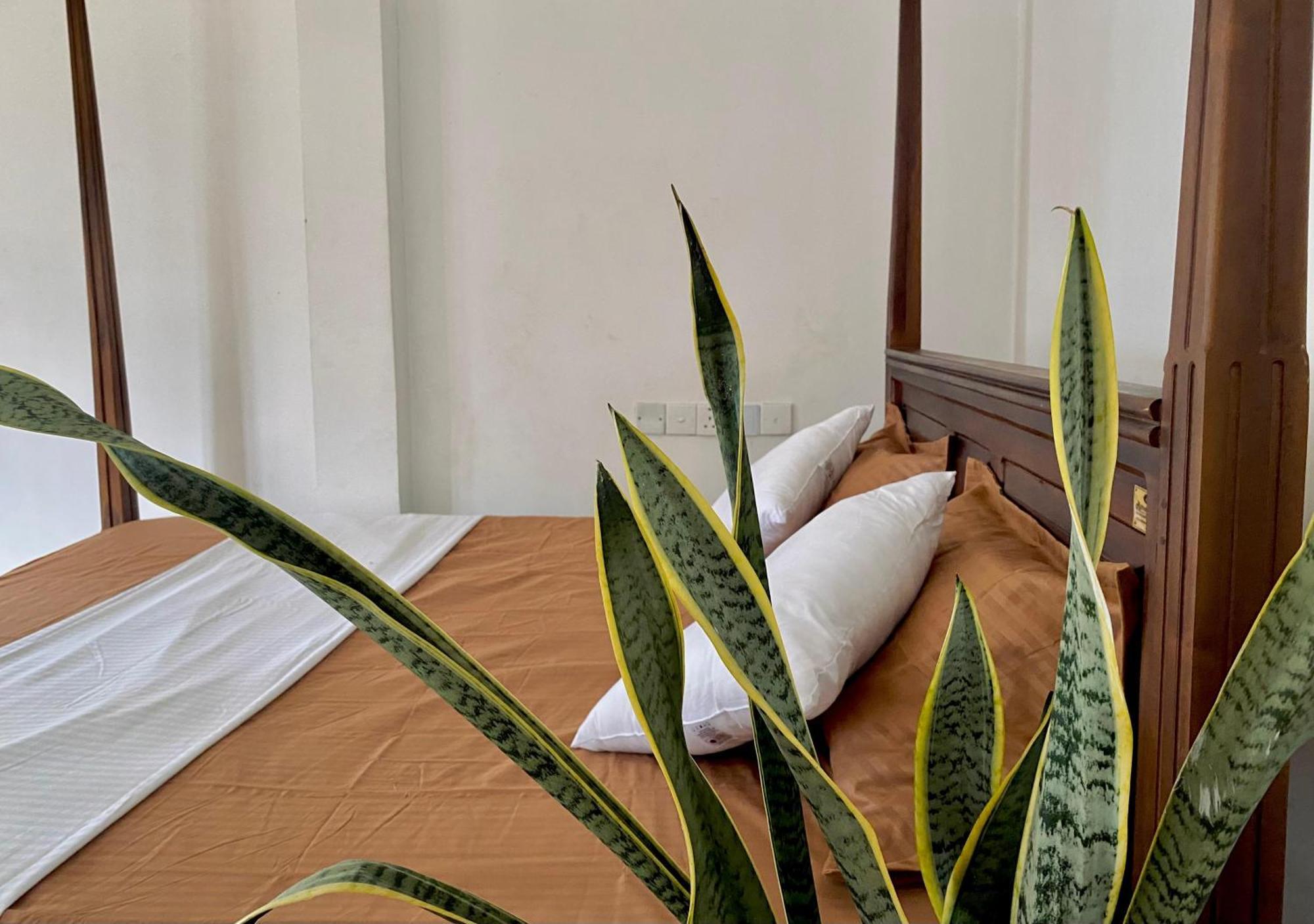 Sasmika Villa Surf And Yoga Hostel Weligama Bagian luar foto