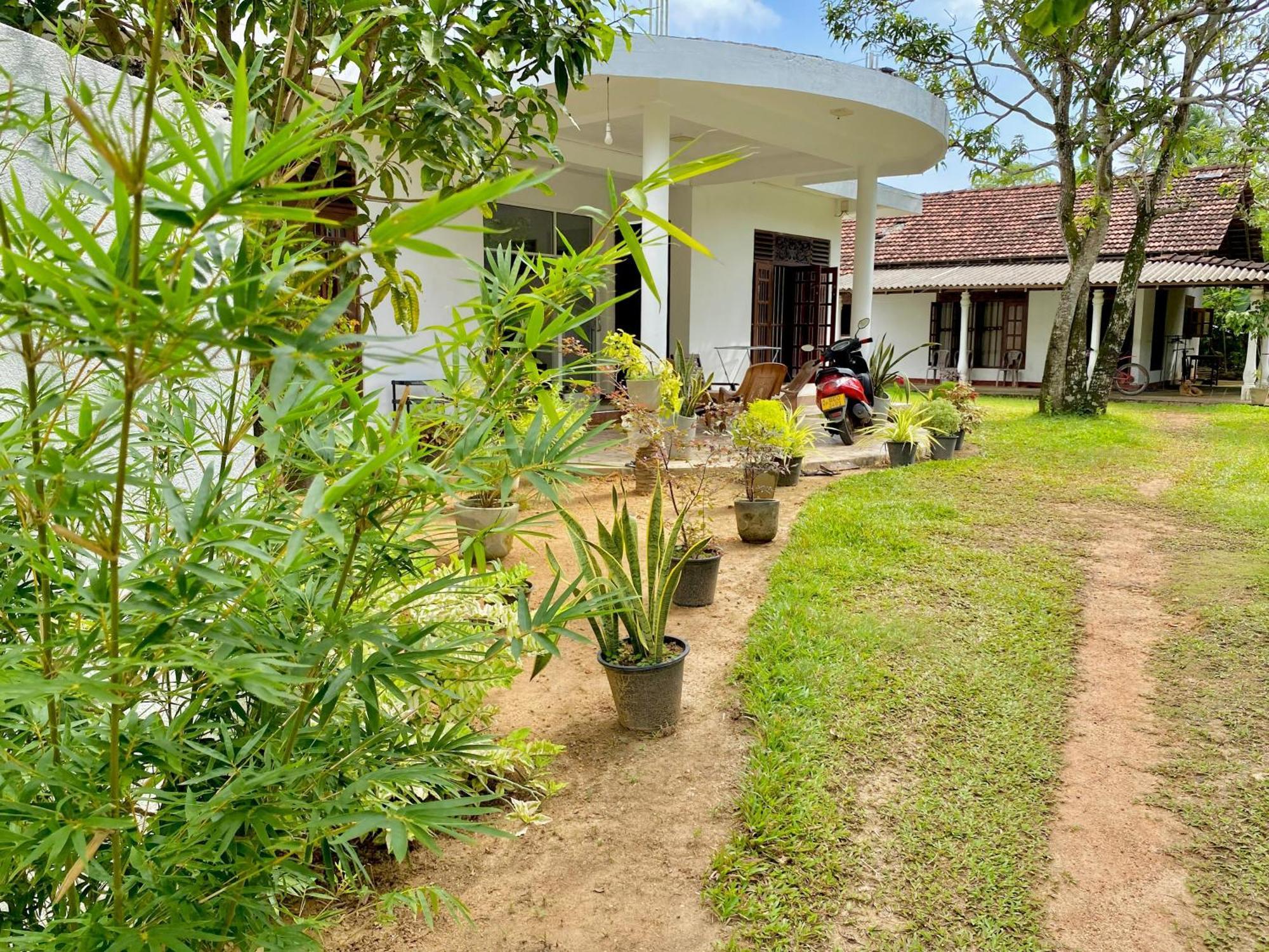 Sasmika Villa Surf And Yoga Hostel Weligama Bagian luar foto