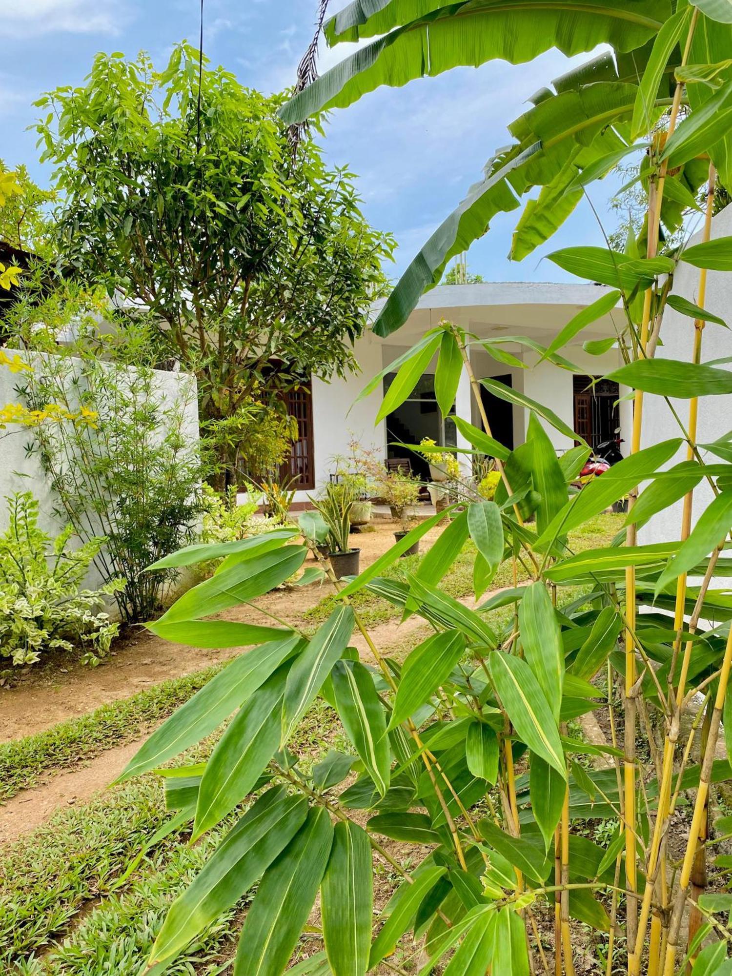 Sasmika Villa Surf And Yoga Hostel Weligama Bagian luar foto